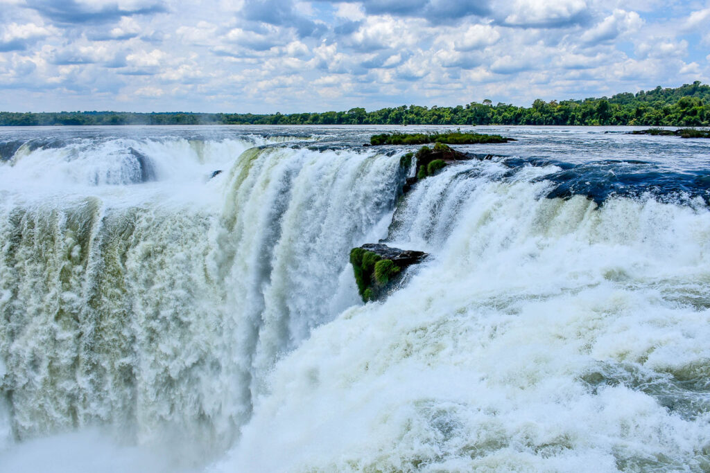 iguana falls