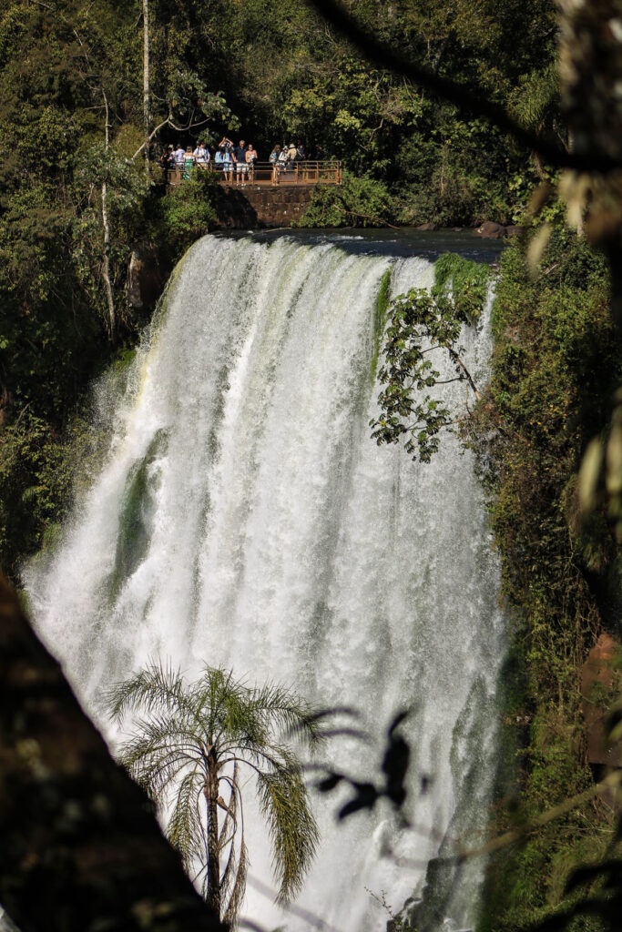 Iguazu falls
