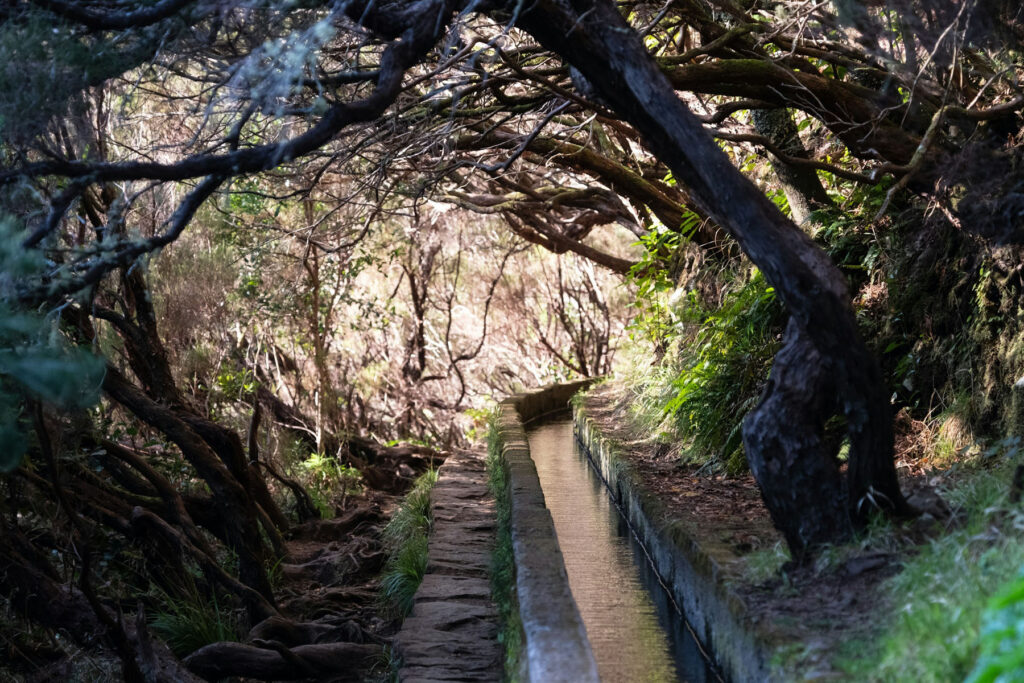 Madeira Portugal