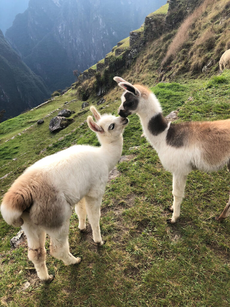 Peru