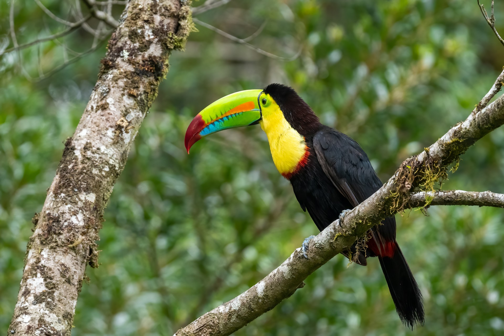 Costa Rica