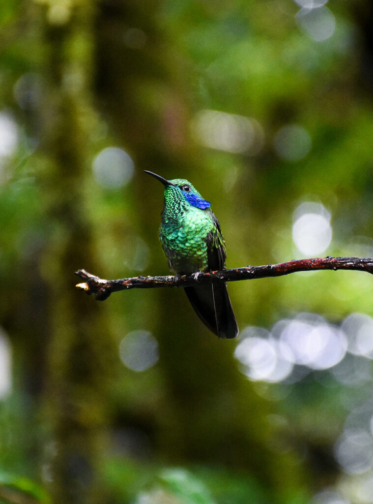 Costa Rica