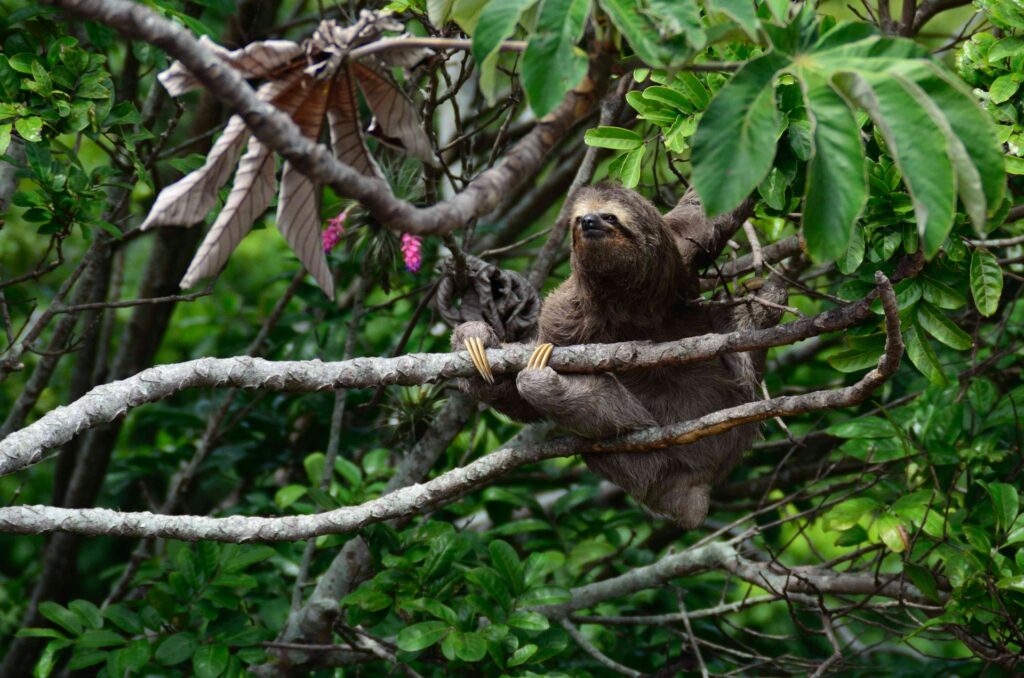 Costa Rica