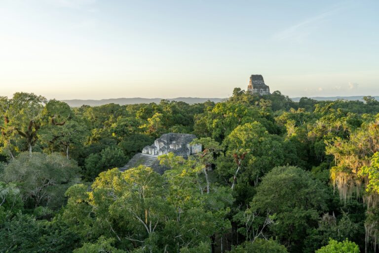 Tikal Guatemala