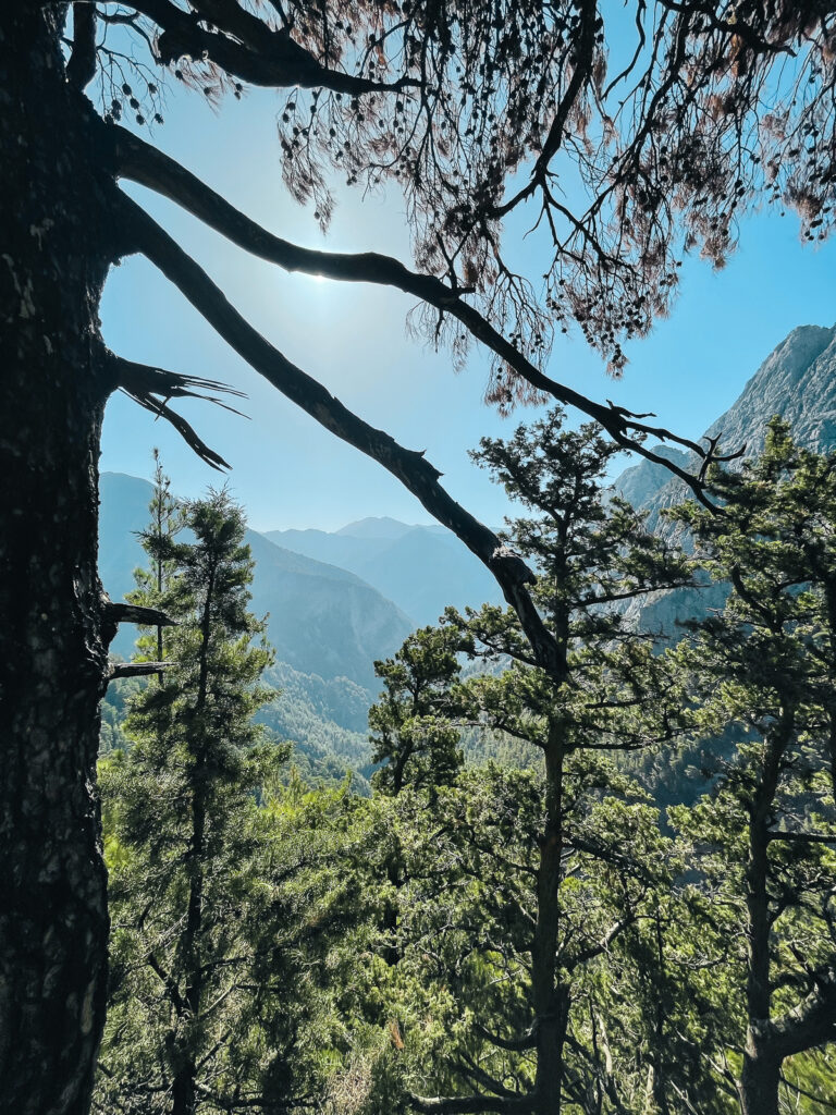 Samaria Gorge Crete Greece