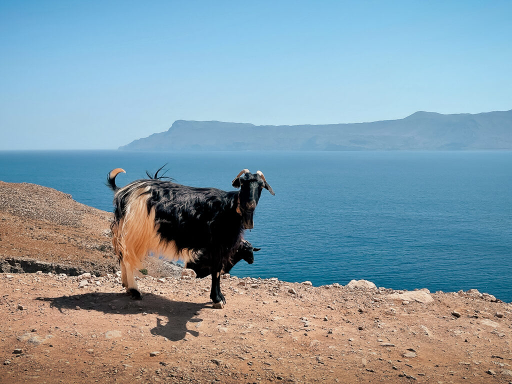 Crete Greece
